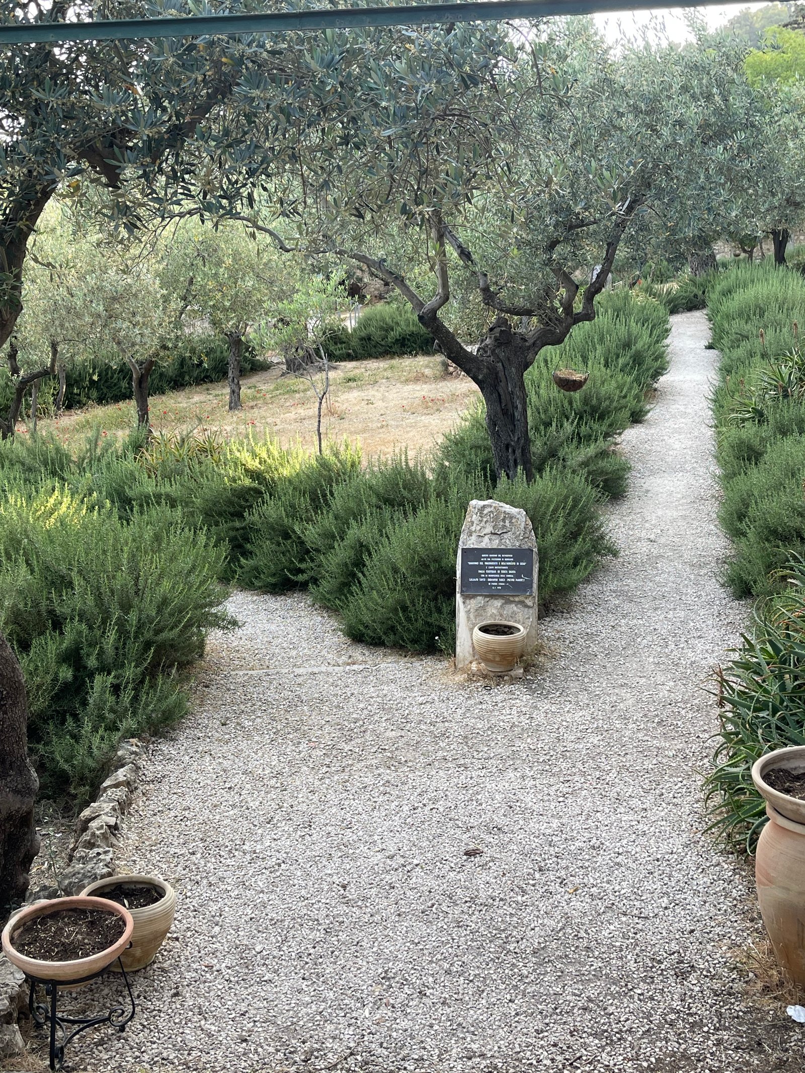 Garden of Gethsemane