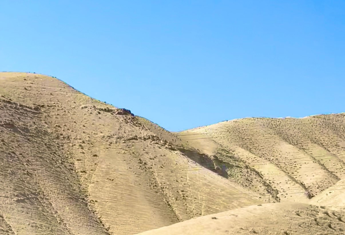 Judean Desert