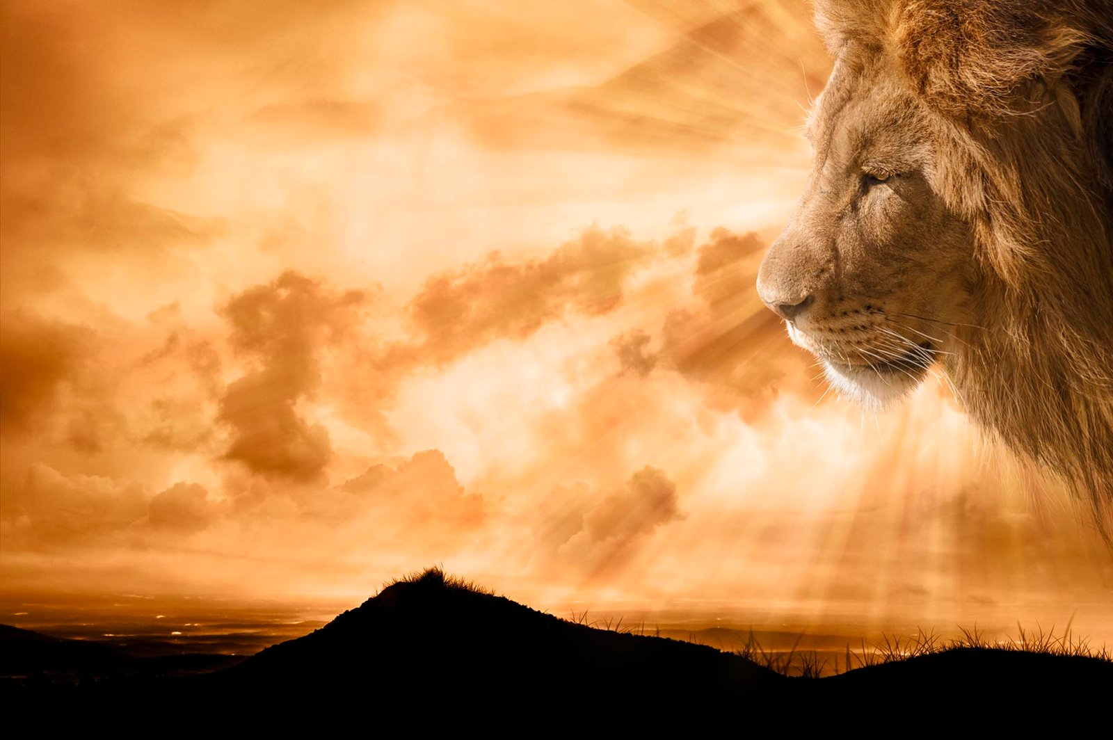Lion of Judah